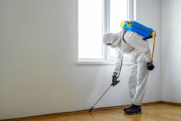 Professional Pest Control in Westfield, NJ